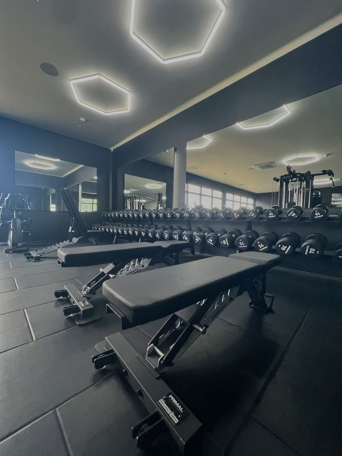 Dumbbell rack and adjustable Primal benches in front of the mirrors