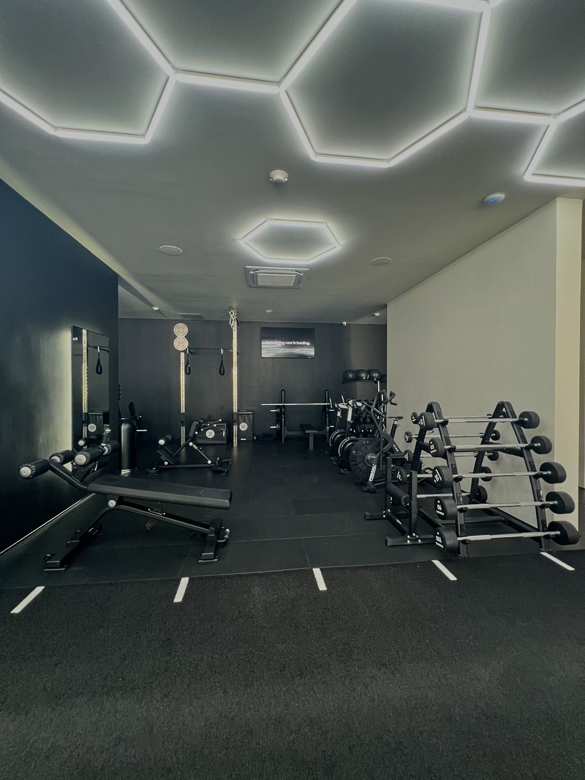Fixed-weight barbells on a rack, an adjustable bench and a cable column under the hexagon lights