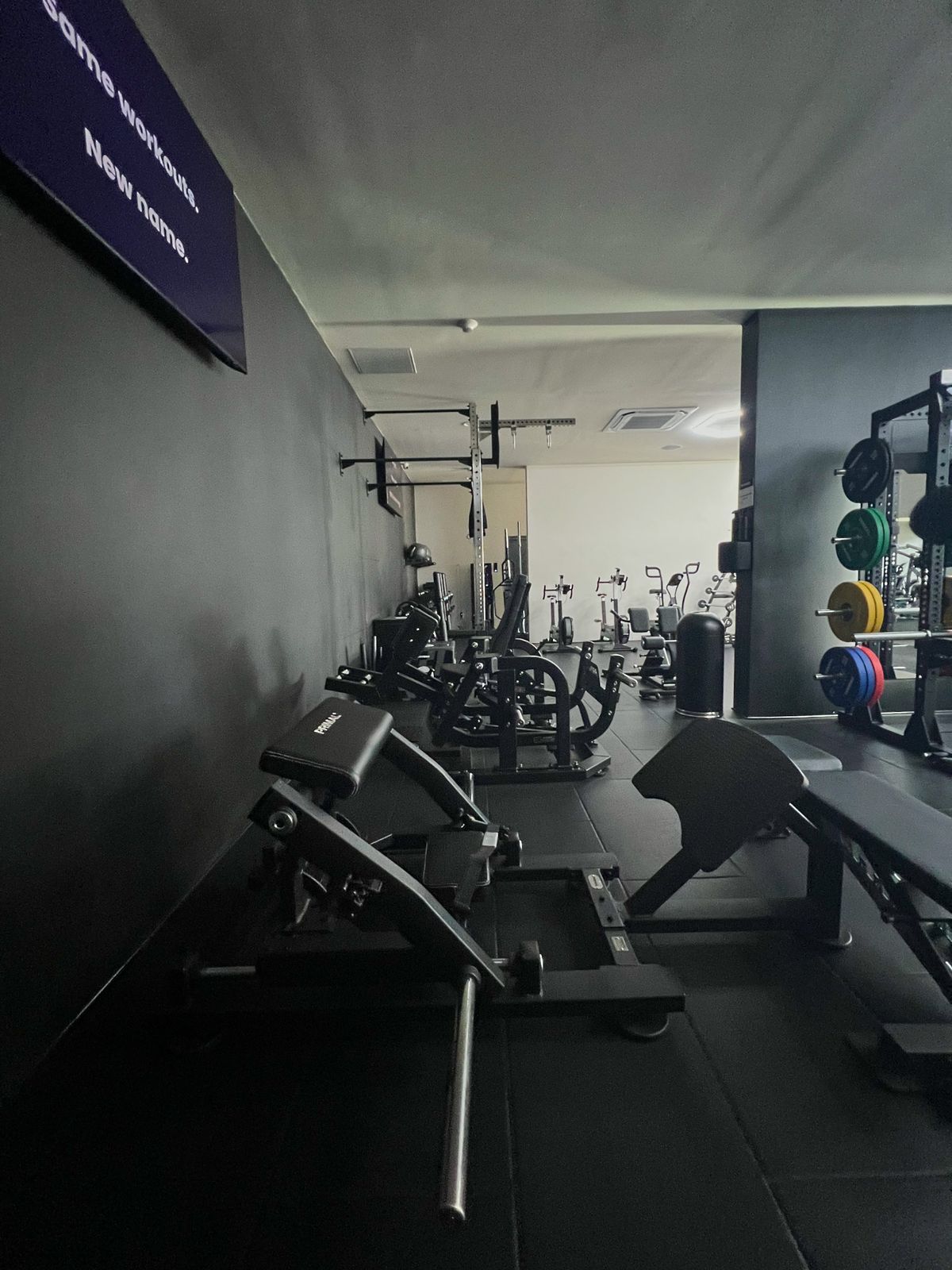 Primal plate-loaded glute machines along the wall in the glute zone